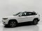 2019 Jeep CHEROKEE SPORT UTILITY